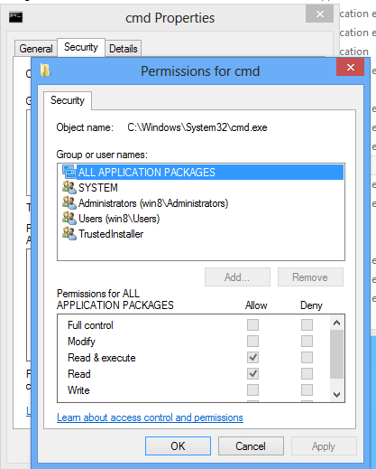 Set cmd.exe permissions to applications or sites served by IIS