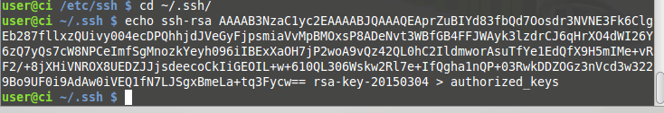 Instalar SSH e Git em Linux (Integração contínua parte 2) images/09-instalar-ssh-git-linux-configurar-maquina-desenvolvimento-windows-integracao-continua/174-append-to-authorized-keys-rsa.png