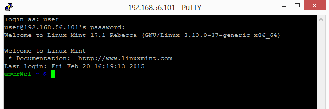 Instalar SSH e Git em Linux (Integração contínua parte 2) images/09-instalar-ssh-git-linux-configurar-maquina-desenvolvimento-windows-integracao-continua/179-putty-after-login.png