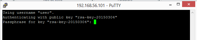 Instalar SSH e Git em Linux (Integração contínua parte 2) images/09-instalar-ssh-git-linux-configurar-maquina-desenvolvimento-windows-integracao-continua/184-putty-session-private-key-auto-login.png