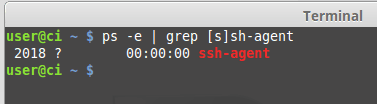 Instalar SSH e Git em Linux (Integração contínua parte 2) images/09-instalar-ssh-git-linux-configurar-maquina-desenvolvimento-windows-integracao-continua/187-ssh-service-running.png